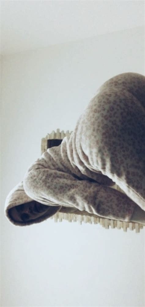 Porno Sex Barbati Gay Romeo Romania