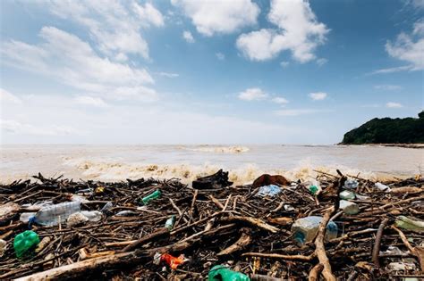 La costa del mar tras el temporal los residuos de plástico y madera en