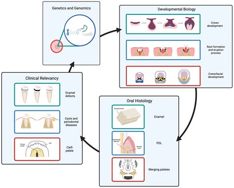 Automated tutoring will soon replace the what is cui basic quizlet 22