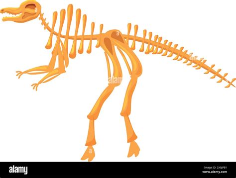 Illustration Of A Dinosaur Skeleton Standing On Two Legs Stock Vector