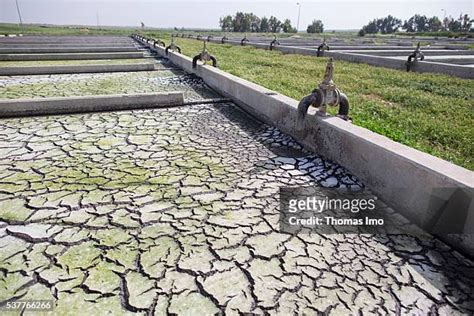 Sludge Drying Beds Photos And Premium High Res Pictures Getty Images