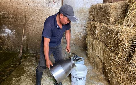 Producción de leche actividad a punto de extinguirse en Tonantzintla