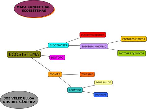 Componentes Del Ecosistema 10