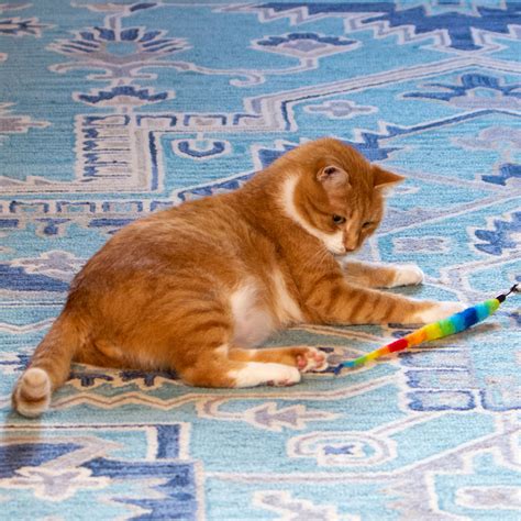 Replacement Lure 2 Pack for Tough Teaser - Squishy Face Studio