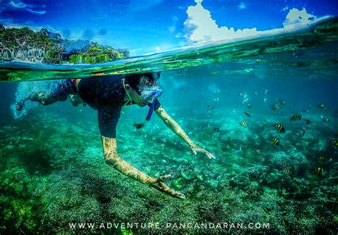 Harga Snorkeling Di Pantai Pangandaran Official Guha Bau Body