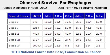 Esophagus Cancer Stage And Survival