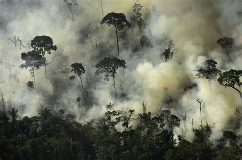 Grupo em Manaus realiza aula pública para discutir crise climática