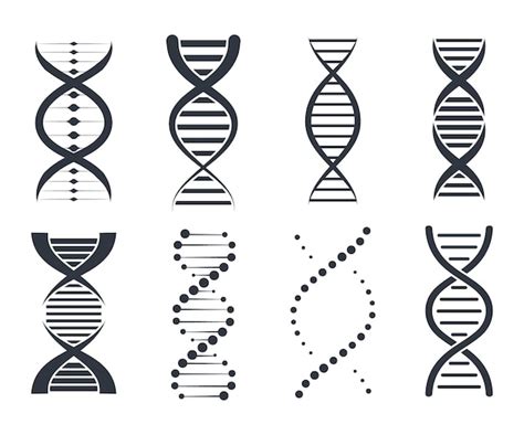 Conjunto De Cones De Dna Cole O Gen Tica De Sinais Elementos E