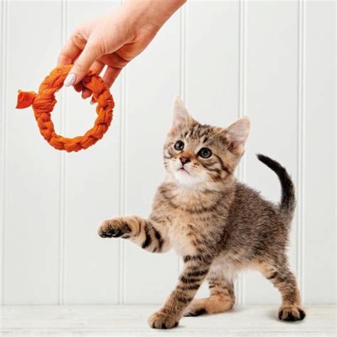 Dog And Cat Toys Free Craft Project Stitching Crafts Beautiful