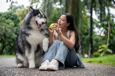 A Beautiful Asian Female Dog Owner Is Sitting On A Street In A Park