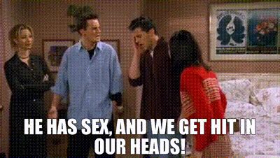YARN He Has Sex And We Get Hit In Our Heads Friends 1994