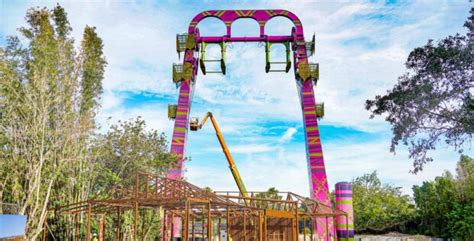 Busch Gardens Tampa Bay 2023 Event Lineup And A Free Fun Card