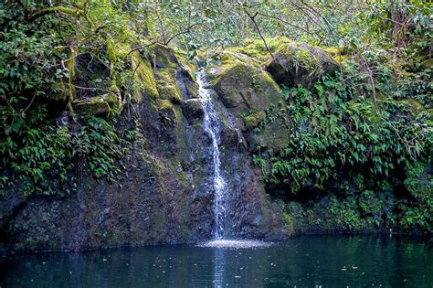 Guide Road To Hana Waterfalls