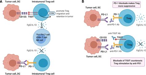 Frontiers TIGIT The Next Step Towards Successful Combination Immune