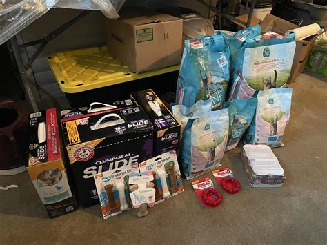 Beacon of Light Animal Rescue CT (@beaconoflightct) • Instagram photos