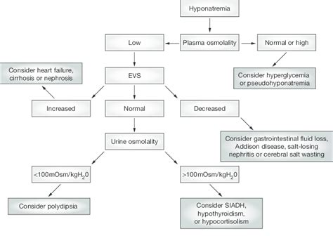 Flowchart Of The Diagnostic Work Up For Hyponatremia Abbreviations