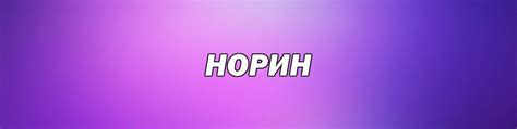 НОРИН | Рассказываем, показываем и делаем то, что для вас кажется ...