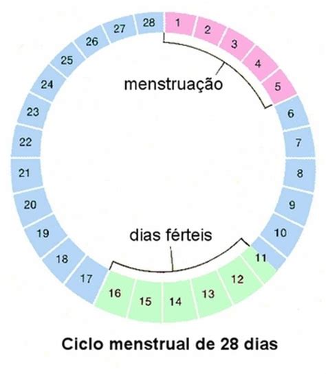 Comida Chinesa Gravidez Horario Sintomas Da Gravidez