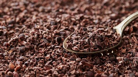 Que Sont Les Pointes De Cacao Nutrition Bienfaits Et Utilisations