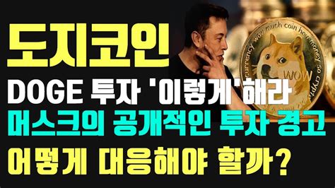 도지코인 머스크의 공개적인 투자 경고 어떻게 대응해야 할까 Youtube