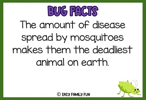 100 Epic Bug Facts for Kids