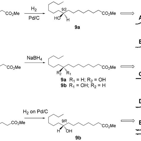 Scheme 1 Chiral Analysis Of 3 From Thalassiosira Rotula The 9s And 9r Download Scientific