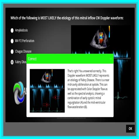 Adult Echocardiography Test Learn Registry Review Quiz All About