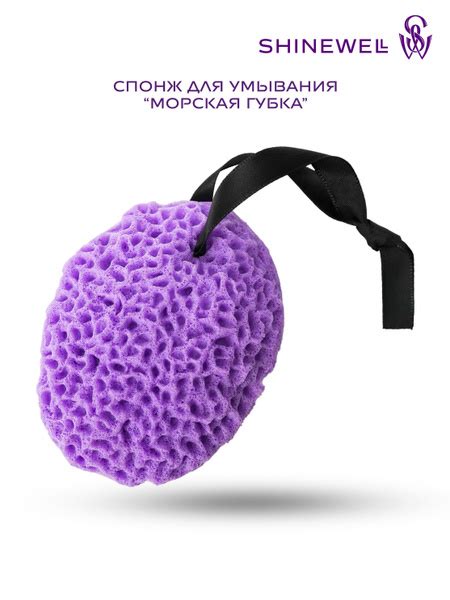 Спонж для умывания морская губка SHINEWELL купить на OZON по низкой ...