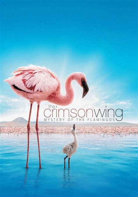 The Crimson Wing Mystery Of The Flamingos Streaming