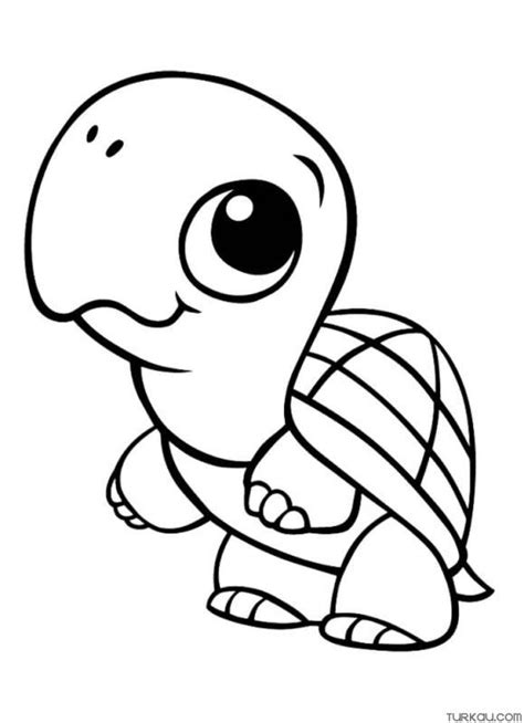 Cute Turtle Coloring Pages » Turkau