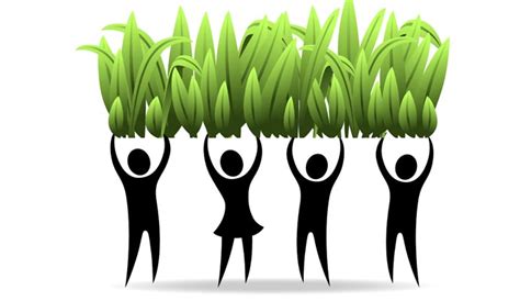 grassroots initiative parashat pinchas