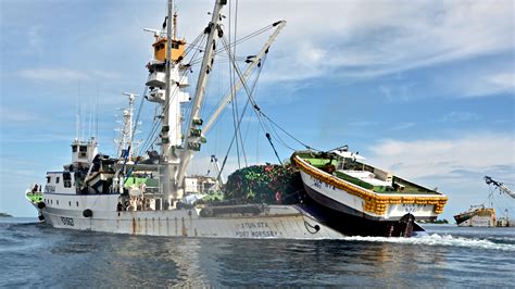 Images Of Pelagic Purse Seiner Tuna Fishing Vessel Fv Atun Sta