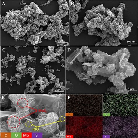 Sem Images Of A B Mos And C D E Mos Rgo And The Corresponding