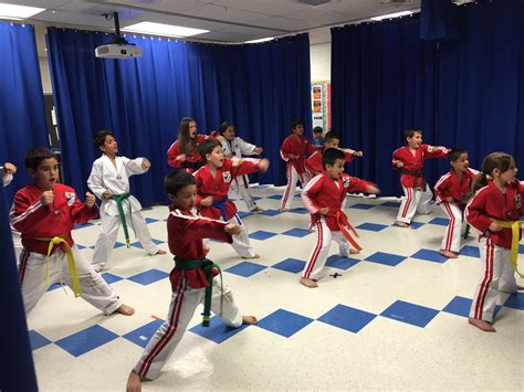 Parents debate if kwon do is too intense for children