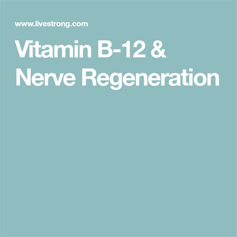 Vitamin B 12 And Nerve Regeneration Vitamin B Nerve