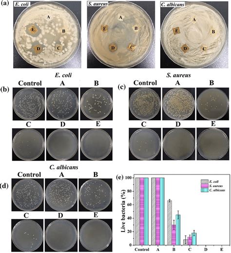 A Antibacterial Activity Of Pgbvs Gauze Against E Coli S Aureus And