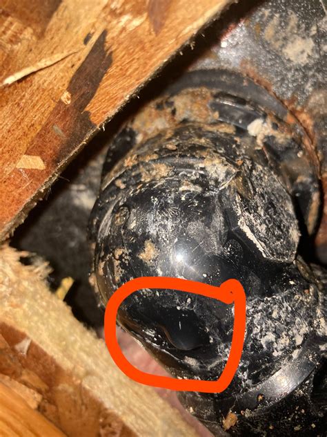 The Latoxicasz Leak: A Question Of Ethics
