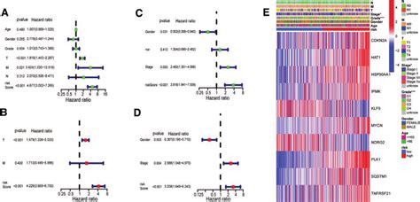 The univariate and multivariate Cox regression analyses of the risk ...