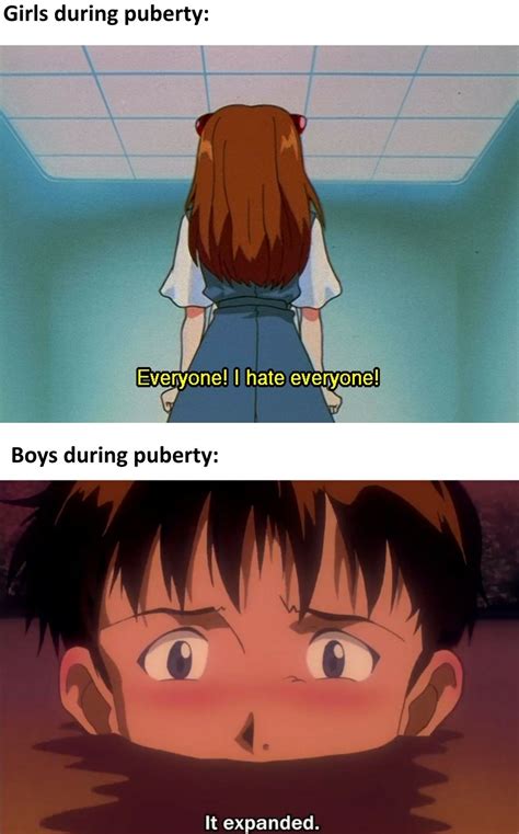 Baka Shinji Meme By Lewdhassan Memedroid