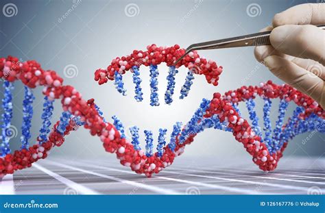 Genetische Biologie GMO En Het Concept Van De Genmanipulatie De Hand