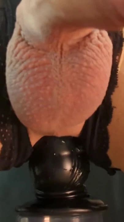 Must See Moment From Training Sissy Pussy BBC XHamster