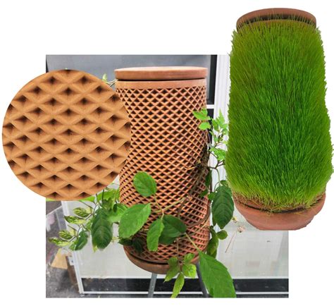 Buy Self Watering Terra Cotta Er Terra Er Terranter That Grow S On Er