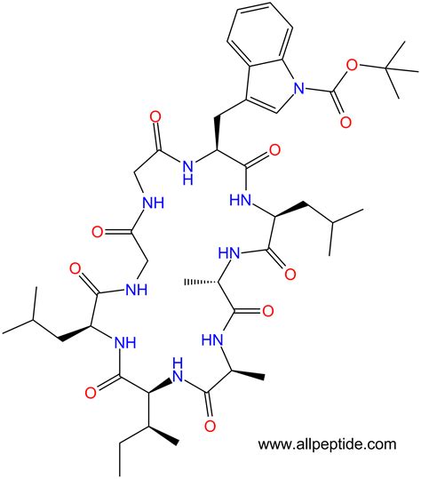 1234926 36 3 八肽cyclo G W Boc LAAILG main chain cyclo cyclo Gly Trp