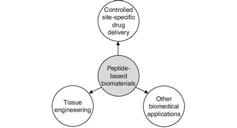 Potential applications of peptide-based biomaterials. | Download ...