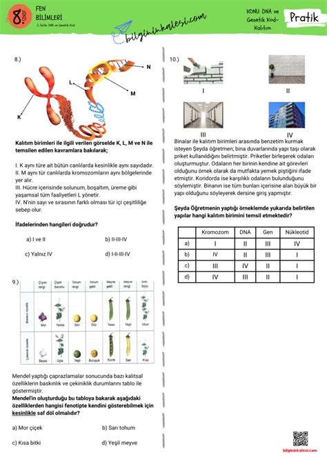 8 Sınıf Lgs Fen Bilimleri 2 Ünite Dna Ve Genetik Kod Soruları 1