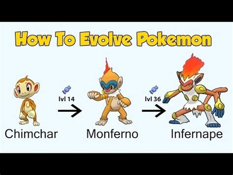 Pokemon Chimchar Evolution Chart