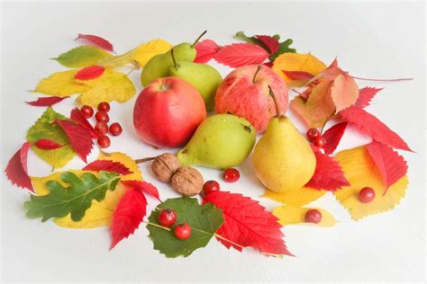 Herbst Laub Und Obst Creative Commons Bilder