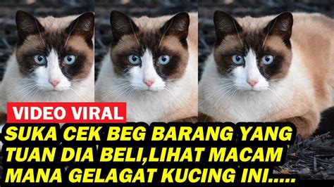 SUKA CEK BEG BARANG YANG TUAN DIA BELI LIHAT MACAM MANA GELAGAT KUCING