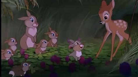 Bambi And Thumpers Cute Moment Bambi Youtube