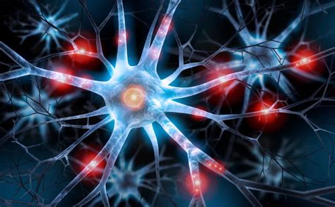 Neurological Pain Syndromes Pro Care